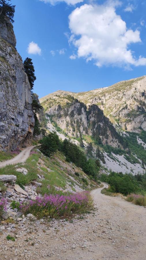 Appartamento Katun Kuline Kolašin Esterno foto
