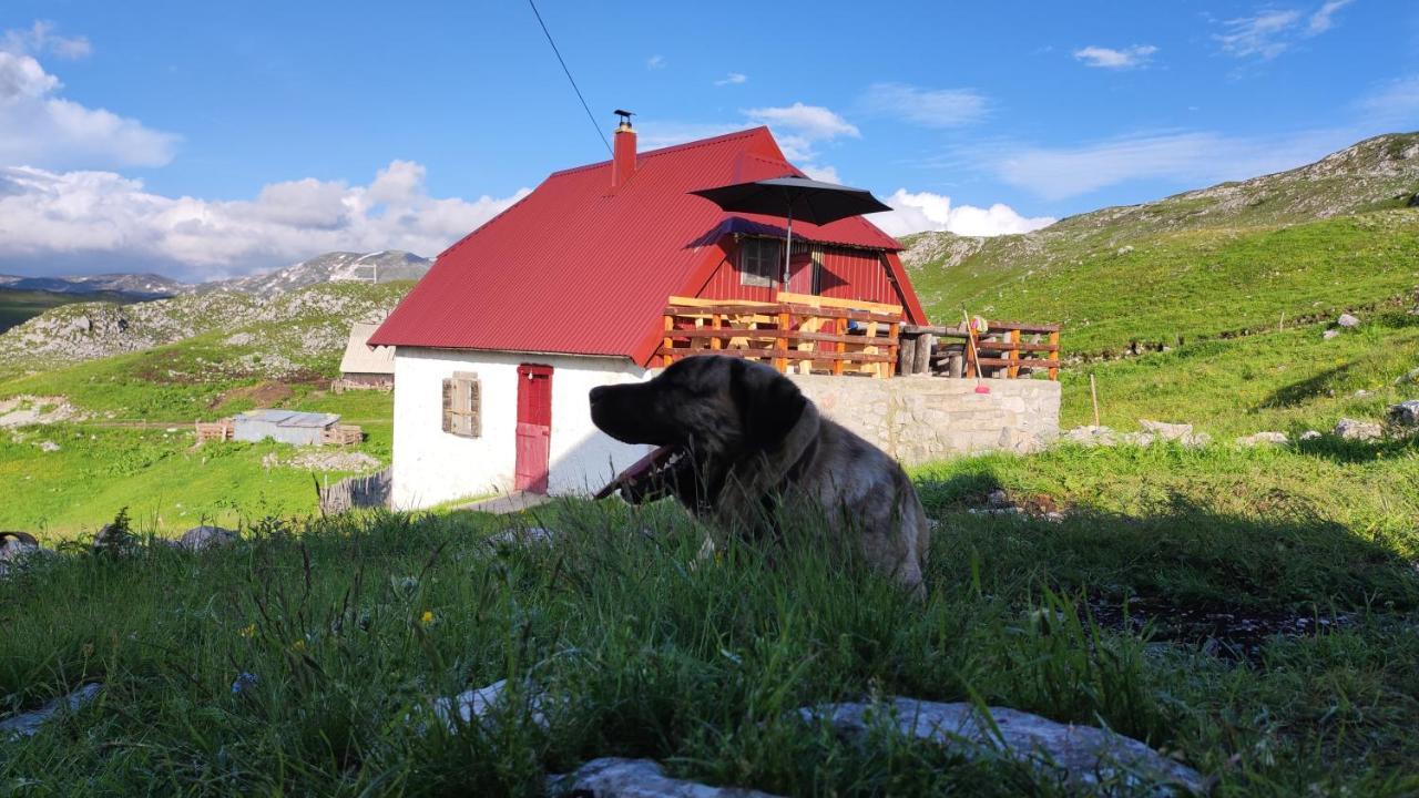 Appartamento Katun Kuline Kolašin Esterno foto