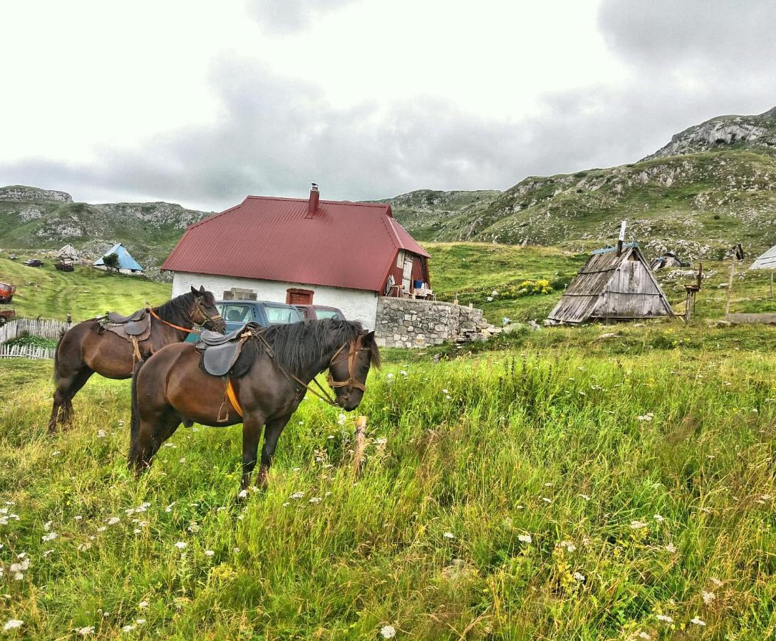 Appartamento Katun Kuline Kolašin Esterno foto